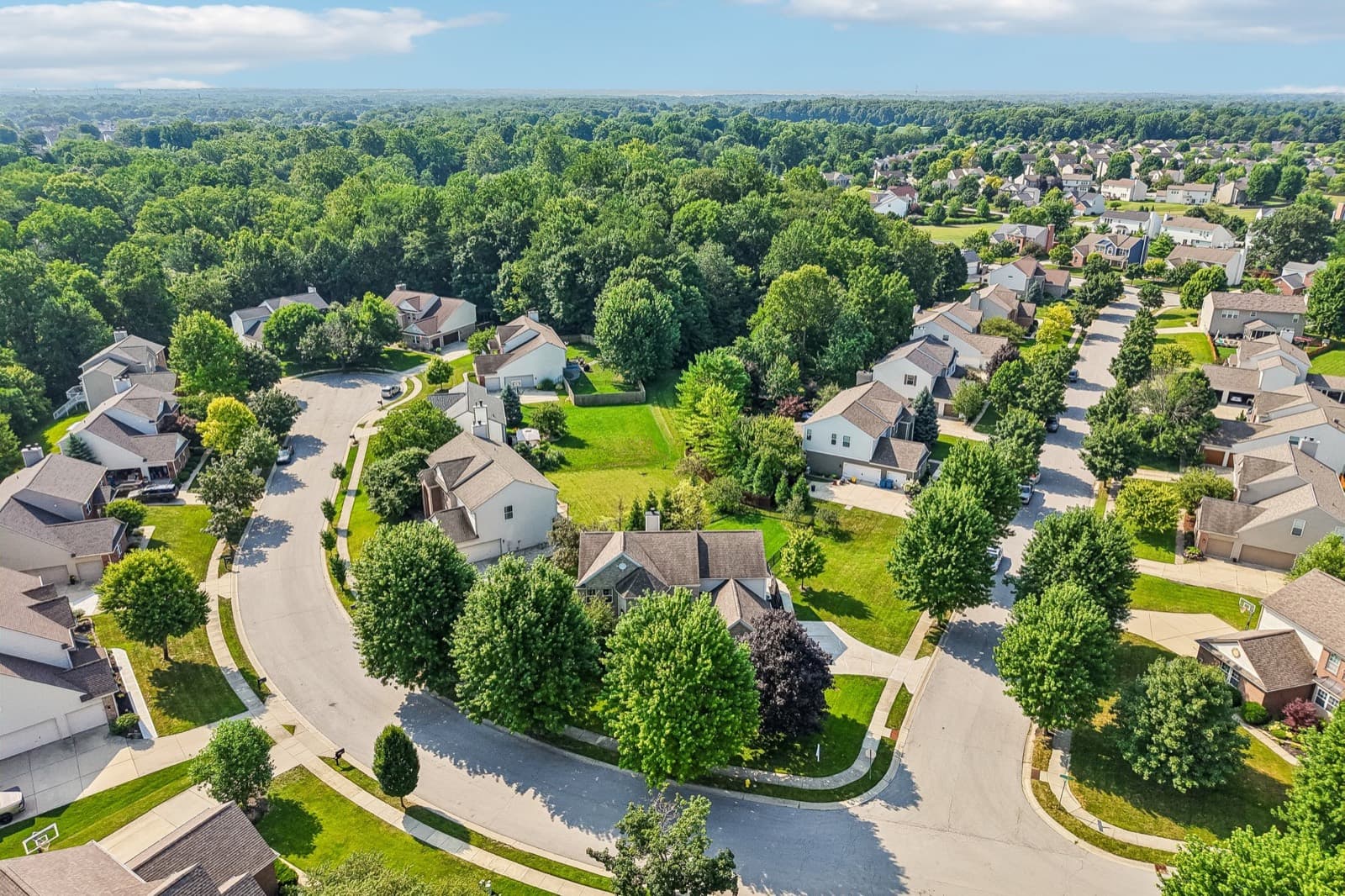 Aerial view of the Mill Grove neighborhood